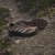 KJ4429_21_FOOTWEAR_Photography_HeroMrktng View 8.jpg