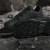 JQ2210_24_FOOTWEAR_Photography_HeroMrktng View 11.jpg
